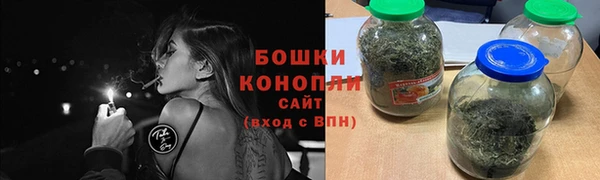 шишки Осинники