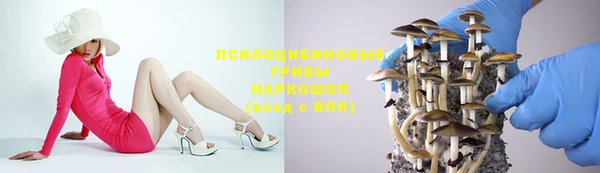 СК Вязьма