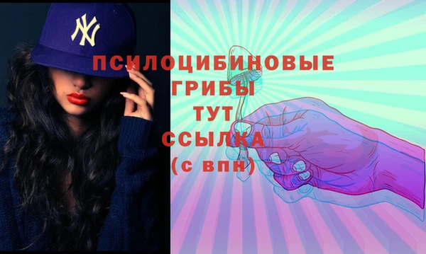 меф Няндома