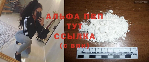 СК Вязьма