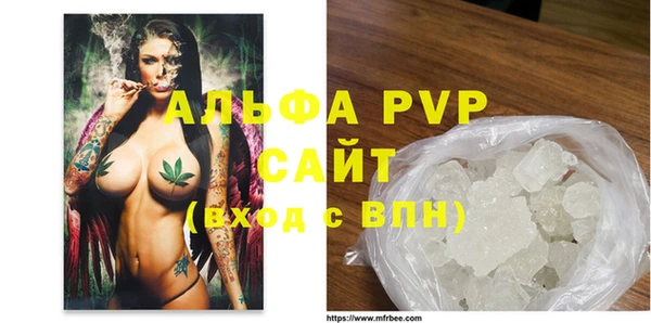 СК Вязьма