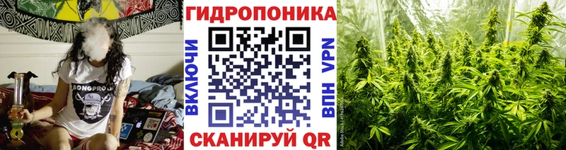 Шишки марихуана OG Kush  где продают наркотики  Лысково 